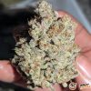 Cream 47 Feminised — изображение 2